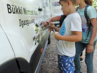                                                                                                                                 