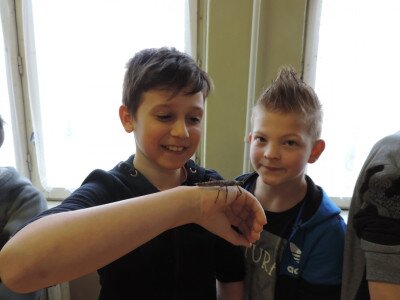                                                                                                                                 