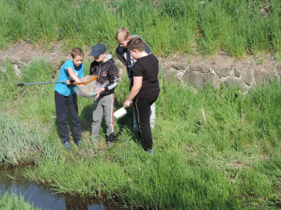                                                                                                                                 