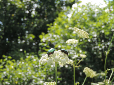                                                                                                                                 