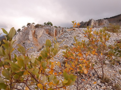 �������������