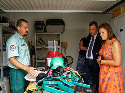                                                                 