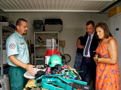                                                                 