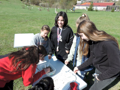                                                                                                                                 