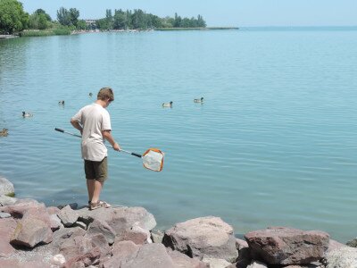                                                                                                                                 