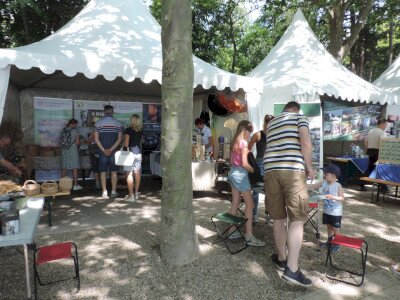                                                                                                                                 