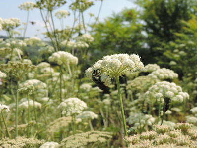                                                                                                                                 