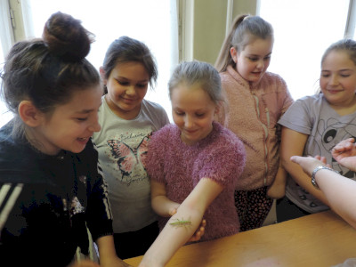                                                                                                                                 