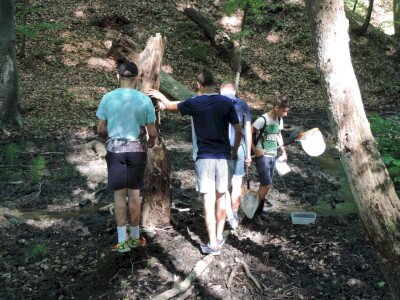                                                                                                                                 