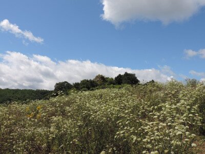                                                                                                                                 