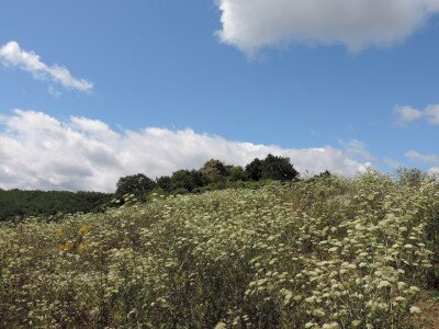                                                                                                                                 