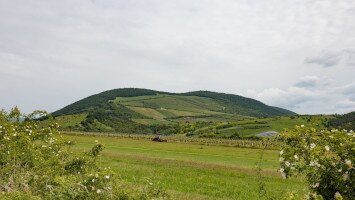 9. A szőlészethez-borászathoz kapcsolódó szellemi örökség