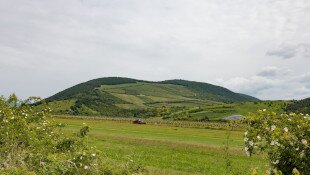 9. A szőlészethez-borászathoz kapcsolódó szellemi örökség