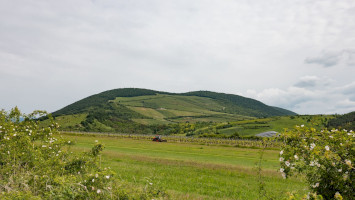9. A szőlészethez-borászathoz kapcsolódó szellemi örökség