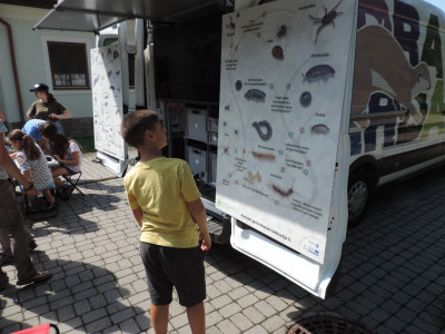                                                                                                                                 