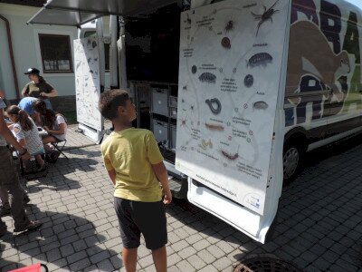                                                                                                                                 