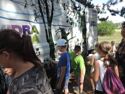                                                                                                                                 