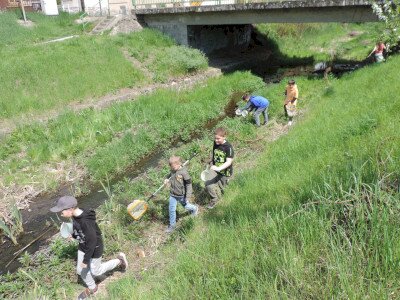                                                                                                                                 