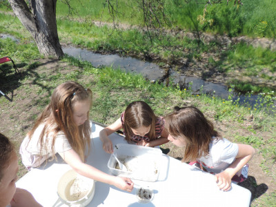                                                                                                                                 