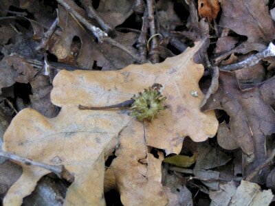                                                                                                                              