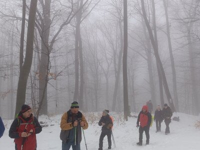 IMG_20260124_111106