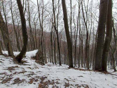 IMG_20260124_134631