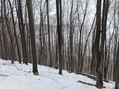 IMG_20260124_133901