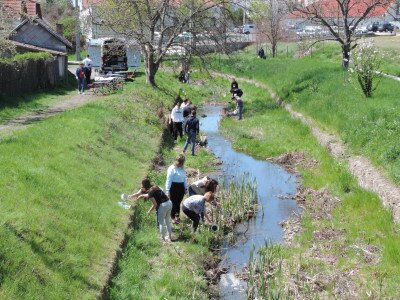                                                                                                                                 