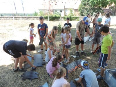                                                                                                                                 