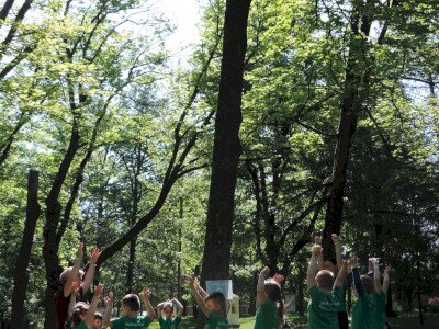                                                                                                                                 