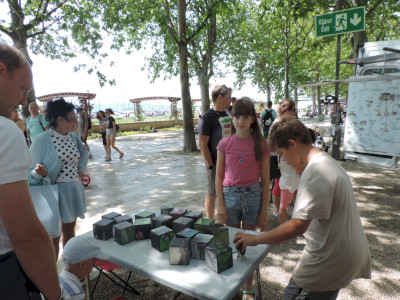                                                                                                                                 