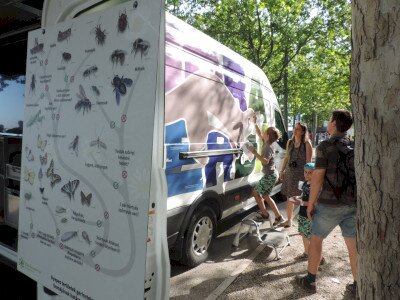                                                                                                                                 