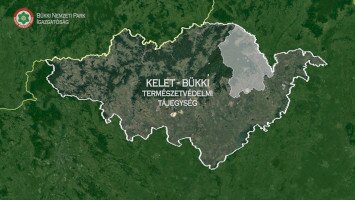A fekete bödöncsiga hazája