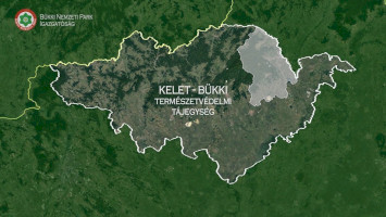 A fekete bödöncsiga hazája