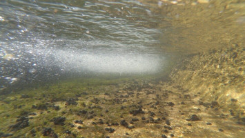 A fokozottan védett fekete bödöncsiga kácsi élőhelyének védelme, hosszú távú megőrzésének megalapozása, KEHOP_PLUSZ-3.2.1-24-2025-00036