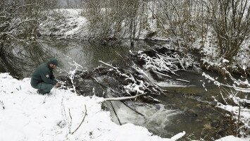 A hód megjelenése a Lázbérci Tájvédelmi Körzet területén