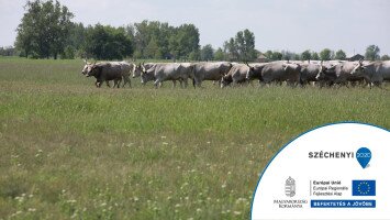 A hosszú távú természetvédelmi területkezelés infrastrukturális feltételeinek megteremtése a Dél-Hevesi Tájegységben KEHOP-4.1.0-15-2016-00029