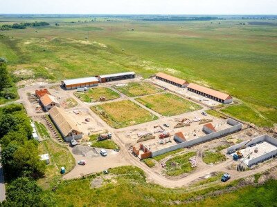 Forras_MagyarEpitok_01