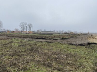 image_50375681