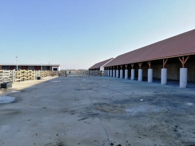 IMG_20211208_112811