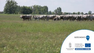 A hosszú távú természetvédelmi területkezelés infrastrukturális feltételeinek megteremtése a Dél-Hevesi Tájegységben KEHOP-4.1.0-15-2016-00029