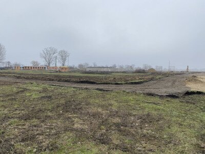 image_50375681