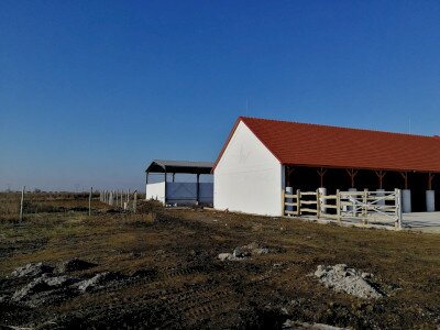 IMG_20211208_112754