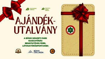 Ajándékutalványok