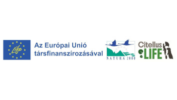 Ajánlattételi felhívás közbeszerzési szaktanácsadási és lebonyolítási szolgáltatás biztosítása közbeszerzési eljáráshoz