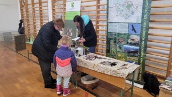 A kerecsenről és a gyepek védelméről a galambkedvelőknek