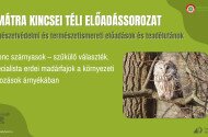 A Mátra Kincsei téli előadássorozat - Ínyenc szárnyasok – szűkülő választék. Specialista erdei madárfajok a környezeti változások árnyékában