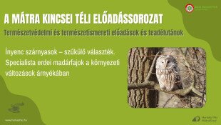 A Mátra Kincsei téli előadássorozat - Ínyenc szárnyasok – szűkülő választék. Specialista erdei madárfajok a környezeti változások árnyékában