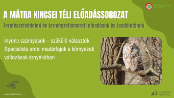 A Mátra Kincsei téli előadássorozat - Ínyenc szárnyasok – szűkülő választék. Specialista erdei madárfajok a környezeti változások árnyékában
