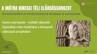 A Mátra Kincsei téli előadássorozat - Ínyenc szárnyasok – szűkülő választék. Specialista erdei madárfajok a környezeti változások árnyékában